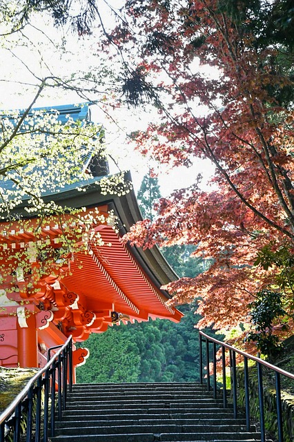 temple, shrine, japan, japanese style, autumnal leaves, autumn, japan, japan, japan, japan, japan